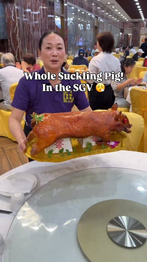 Found this gem and recently had a celebration lunch with this whole suckling pig , crispy skin, juicy tender meat! 😮‍💨 They have some great Lobster specials as well! 

$15.99lb Lobster and if you buy 2 you get 1 Free your next visit!

$20.99 Lunch Special for Whole Lobster and Noodles! Or 2 Lobster Specials for $44.99 for Dinner! 

Whole Suckling Pig $168 Dine-in Only! Feeds 6-8 people at least 🙌🏽 Perfect for Special Occasions! 

They also have a restaurant for take-out selling whole pigs or by the lb plus bbq pork and duck! Lines were out the door so I’ll have to check that out next! 

@blooming_vip_restaurant 
Blooming VIP Restaurant 
📍8118 Garvey Ave. Rosemead CA 91770. 

#rosemead #chineserrstaurant #dimsum #bestoflafood #lafoodie #lafood #sgvfood #626 #foodie