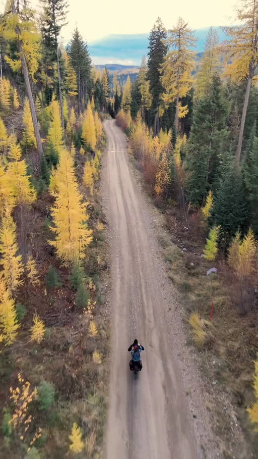 “Have you tried hibernating?”

With @lectricebikes no one hears you coming, make sure you check out their BLACK FRIDAY SALES! 

-Ride in nature as it was intended, swift, fast & quiet.
-I’ve seen so much wildlife that couldn’t hear me. 
-Long battery life.
-Great price.
-Chicks dig it.
-They have different sizes and styles. 
-Amazing customer service 
-Located in AZ