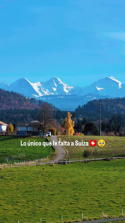 Oh más bien, Dios nos libre 😅.

.
#latinosensuiza #latinasensuiza #LatinosEnEuropa #suiza #DominicanaEnSuiza #dominicanaeneuropa #vidaensuiza #viviendoensuiza