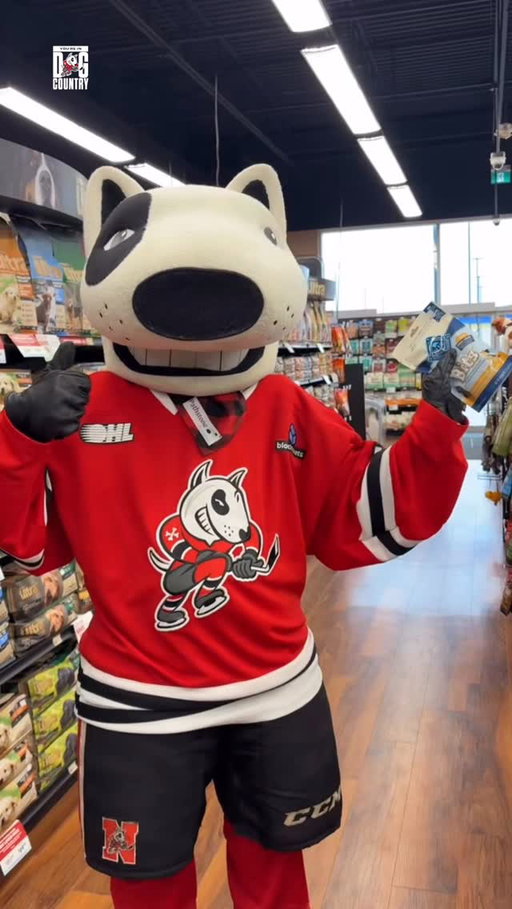 The Niagara IceDogs are pleased to announce that Bones is feeling better after a quick trip to the vet and a stop for some of his favourite treats. 🦴

#DogCountry