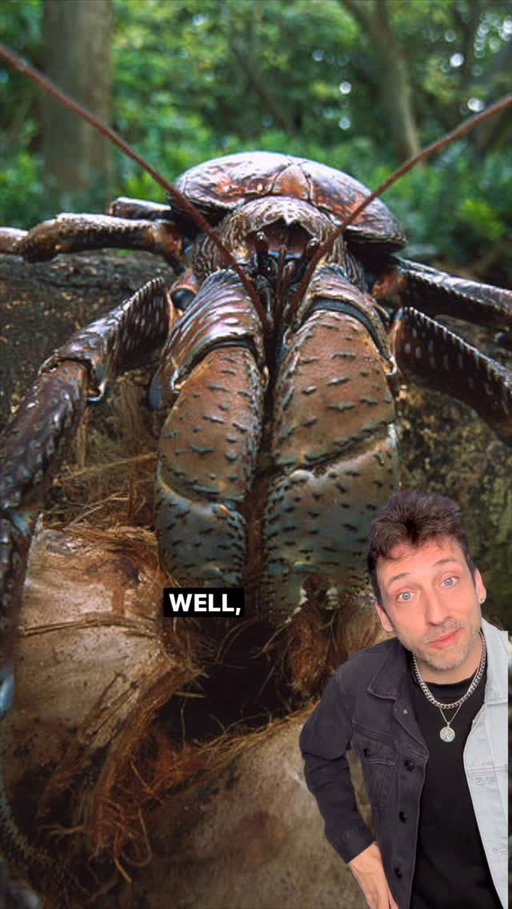The most powerful crab on Earth 👀 #funfact #didyouknow