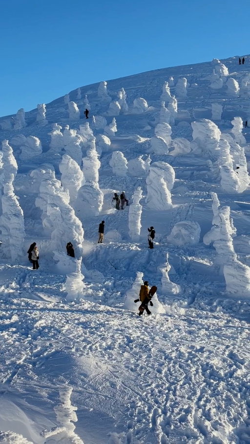 In Japan's Yamagata Prefecture, rural life and mountain stillness set a different pace. In winter, icy winds sculpt Mount Zao's fir trees into "snow monsters," a striking feature of the region’s deep snow season. This is Japan's quieter side, from waterfall meditations to onsen towns and mountain hikes.

Curated by Nat Geo's team of experts and editors around the globe, #BestOfTheWorld 2026 features must-go destinations for traveling more meaningfully. Find out more at the link in bio.

Video by @michaelgeorge