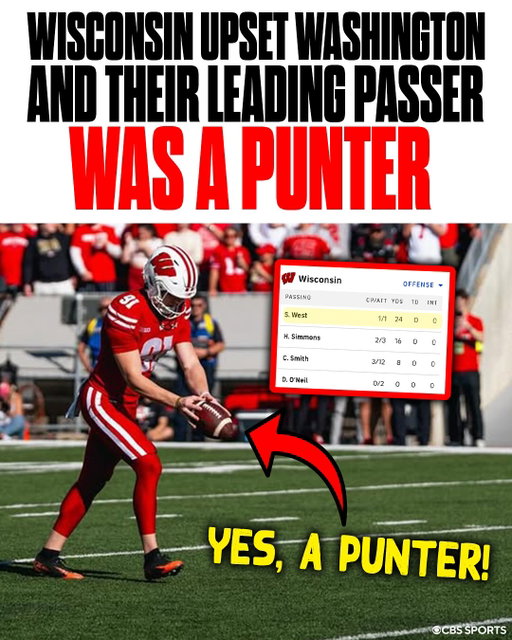 Punters for the win!!