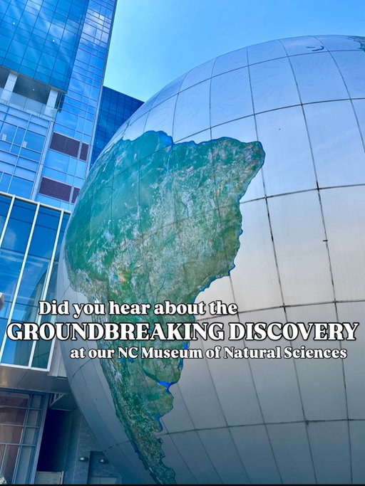 DISCOVER • Raleigh just made dinosaur history. Again. 🦖✨
🦖
Scientists studying the Dueling Dinosaurs at the Museum of @naturalsciences have now confirmed that the predator in this fossil pair isn’t a young T-Rex - it’s a completely separate species called Nanotyrannus.
🦕
This is a massive discovery in paleontology. For decades, experts debated whether Nanotyrannus was real or just a teenage T-Rex.
🦖
That’s not all. They took their findings and applied them to another presumed T Rex - one commonly known as Jane. And they determined that Jane is yet another separate species of Nanotyrannus. 
🦕
These two major discoveries will impact paleontology around the world. And you can see the fossil right here in downtown Raleigh. SWIPE >>> to see more. 
🦖
Have you been to The Dino Lab? It’s a one-of-a-kind experience. This is the most complete skeletal fossil of a Tyrannosaur and a Triceratops IN THE WORLD. It’s not just an exhibit - but a live lab where you can witness the paleontologists excavating, researching and discovering. The lab is free and open to the public. You can talk directly to members of the paleontology team, and follow along as they work to share their discoveries.
🦕
If you love discovering unique things in your city, follow @experience_raleigh for more. 

This is our museum! Have you been to the Dino Lab yet? What’s your favorite part of the @naturalsciences museum? Tell me in the comments. 
🦖