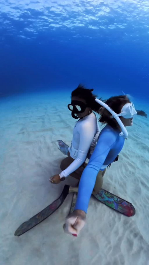 🤭

🧜🏻‍♀️: @awaywithmaria @gypsyadventures_ @oceangalz 

#beesinthetrap #trend #underwater #freediving #ocean #oceanworld #lol #funny #freediver #whatsgoingon #funnytrend #nikiminaj