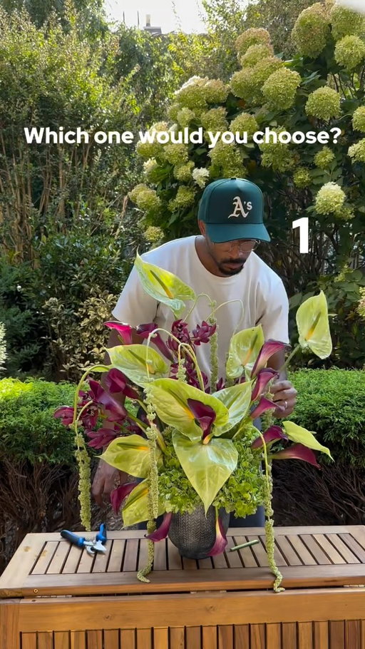 Which flowers would you choose? Comment below and follow for more bros who love flowers 😌💐
#flowers #flowerbouquet #flowerarrangement #whichonewouldyouchoose #fiftyflowers