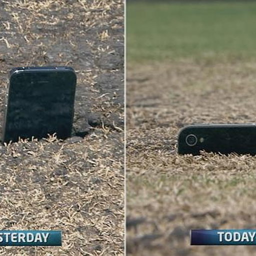 The Ashes 2013/14 WACA pitch was no joke 😳 

-
#cricket #cricketlover #cricketlovers #cricketfans #cricketer #sport #australia #india #pakistan #t20worldcup #t20