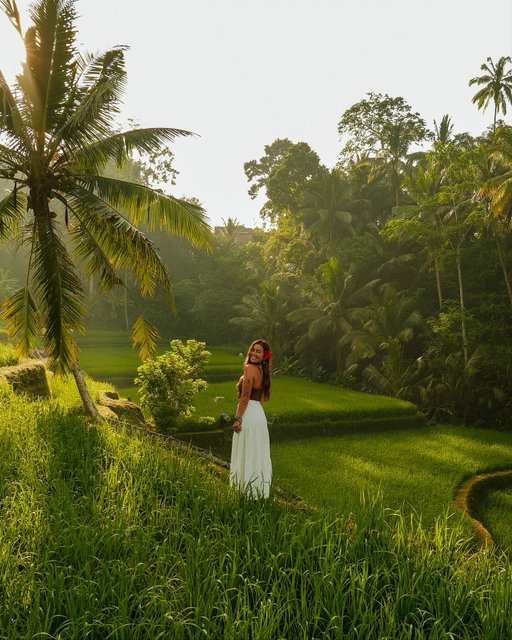 mornings in Ubud🌿🌼✨

showing my best friend the beauty of Bali’s nature since it was her first time to the island 🦋 SO MUCH GREEN💚 

📍Tegallang Rice Terraces & Nungnung Waterfall 

SAVE these two must do’s for when you travel to Bali🤩

#travel #bali #ubudbali #travelindonesia #nature #riceterraces #tegallalangriceterraces #travelbali
