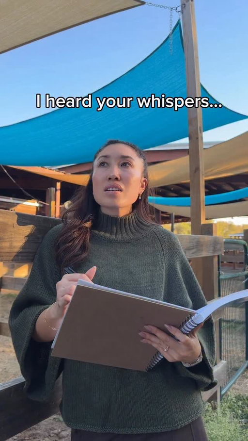 I think you know what this is…

11.13.25 @popflex_active 

PS: thank you Peach from @healingwithhorsesranch for being in my video! 🐴 Also, I’m so touched by the purpose of this ranch…they are a non profit that provides equine assisted therapy to at risk youth, veterans, and people with disabilities and I got to see it all in person last week. Animals are so incredibly in tune with emotions so it’s no wonder how calming it can be to be around one as you heal. If you’re in Austin, they’re always looking for volunteers, and if not, they’ve also got simple ways to help out like by buying one thing from their Amazon wishlist for the horses!