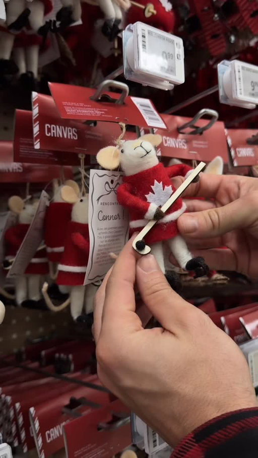 All the creatures are stirring, ✨especially✨ the mice 🐭 🎄 

@canadiantire mice are back and this year, they have even more personality - which ones will you add to your collection? 

You can shop all this holiday in store or at canadiantire.ca ||•• 

#canadiantirepartner #canadiantire #canadiantiremice #holiday #gift #christmas