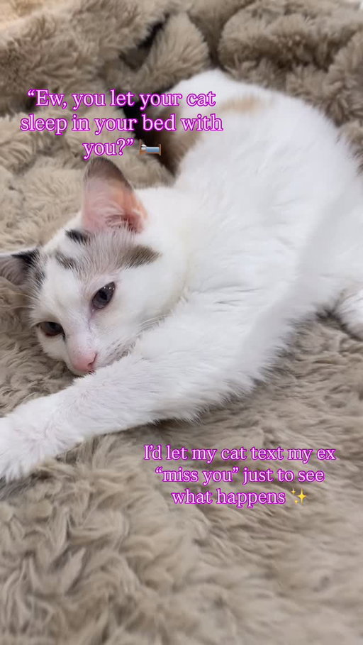 Sorry, I don’t make the rules in this house 🙂‍↔️