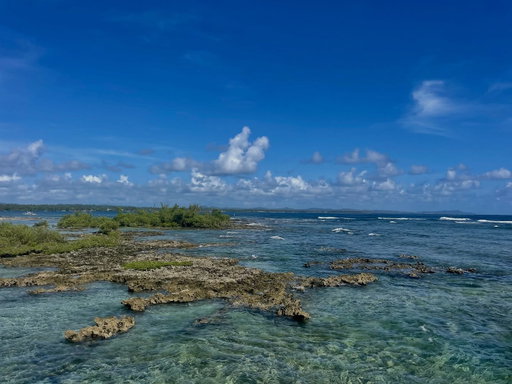 Siargao is a beautiful island in the Philippines with amazing surf spots. I found lots of great vegan options here. Make sure you try a calamansi juice! 

#siargao #philippines #cloud9 #solotravel #vegantravel