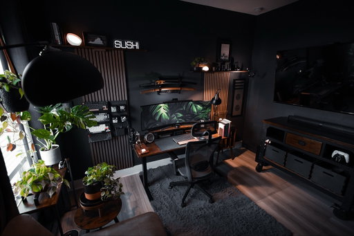 🪴Everything in its right place 

Ps- I painted the wall behind my tv from white to dark gray…look ok?

#desksetup #workspace #homeoffice #interiordesign