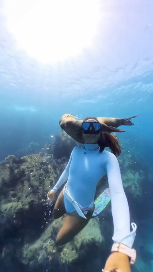 There are moments where I go back to this video and still can’t believe this happened. A curious sea lion decided to check me out… not just once, but every time I would go down she came down with me. 😭🥹🩵

Being down there with her made me forget I even needed to breathe haha I was so present..This kind of interaction is rare. I’ve connected with sea lions before in this area, but never like this. They are usually super playful and fast! But her energy was different… She chose to connect.. No chasing. No forcing. Just pure curiosity and presence.

She simply wanted to enjoy the moment, to feel connected. And I felt that with her. This is why I love the ocean! It always surprises you when you least expect it. I hope you felt the magic in this moment too.

#freediving #sealions #underwaterconnection #oceanmagic #breathhold wildlifeencounter