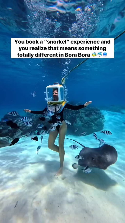 Send this to your adventure buddy and make sure to follow @megsandpat for more bucket list and unique experiences 🐠 

Bora Bora is not all glam and beaches they have tons of cool stuff to do like this Aqua Safari.

If you have ever wondered what being an astronaut or a 19th century diver feels like this excursion is for you. They put this dive helmet on you and then fill it with pressurized air as they lower you into the water so you can breath normally.
Because the helmet is air filled its kind of floaty so you end up being lighter and able to jump around like its space.

I know it looks funny but the views were amazing!  Bora Bora’s water is so clear its incredible. 

We booked this excursion with @WindstarCruises and if you have never scuba dived this is a great way to see what your missing!

check out that rays!!! 🐟💙

All of this was shot with the @insta360 and it is our go to under water camera! The clarity is amazing and we love that it has an invisible selfie stick!

#AquaSafari #borabora #snorkel #underwater