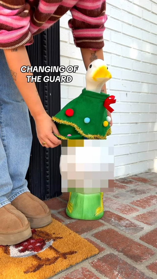 the time has come 🎄 

#porchgoose
