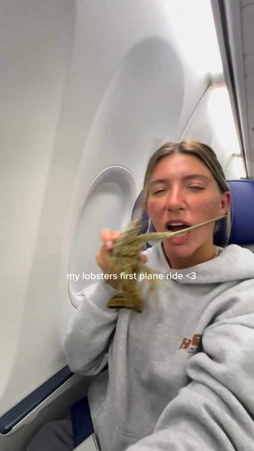 yes, I did bring my lobster on the plane and I would do it again