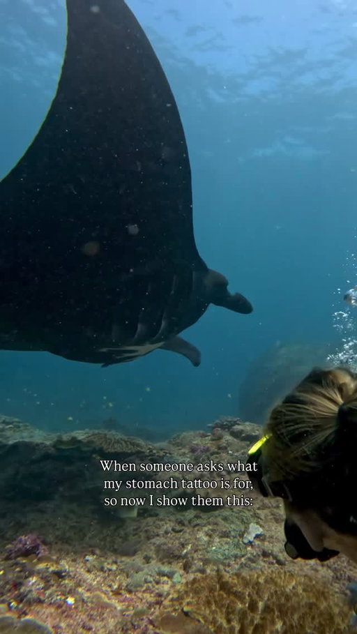 There were definitely tears in my mask btw🥹 
It’s also rare to see a melanistic ray so this will forever be a core memory <3
#mantaray #nusapenida