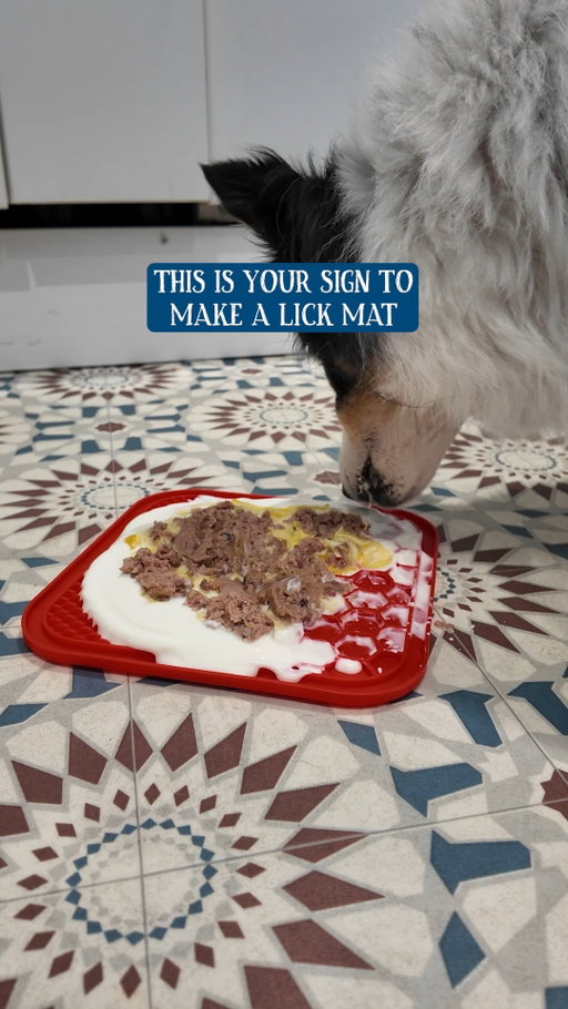 Have you tried entertaining your pup with a lick mat?

Aside from Butcher's, what would you add to it for your dog to enjoy? Let us know in the comments 💙

#ButchersDogFood