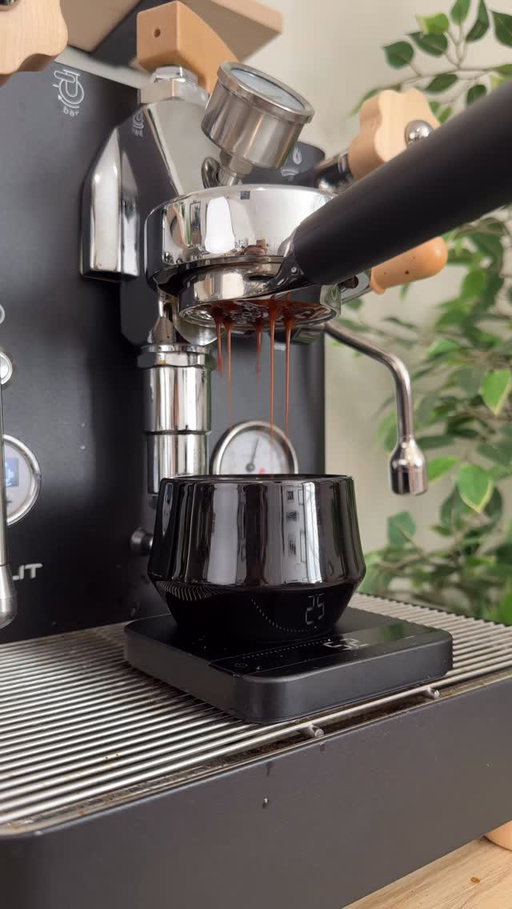 Making my morning coffee :) what’s your favorite cafe drink?