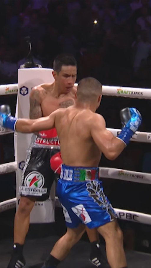 Knockout power runs in @isaacpitbullcruz's blood. 🩸💥

#PitbullRoach | Dec. 6 | PBC PPV on @primevideo