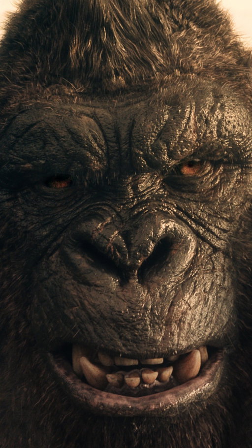 Something new is lurking. 

Monarch: Legacy of Monsters Season 2 resurfaces on February 27

#Monarch #AppleTV