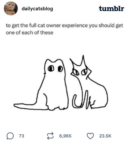 the bouba kiki effect