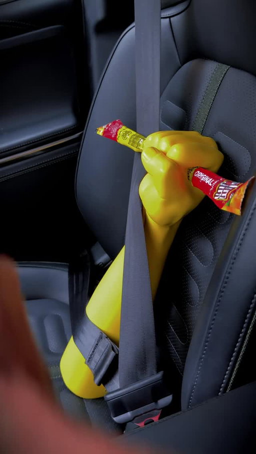 Meat is my co-pilot.