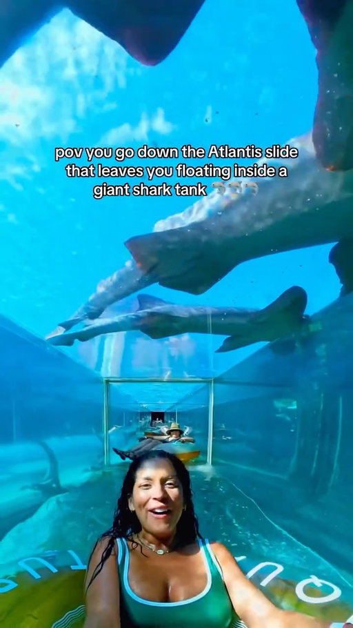 Hands down one of the coolest slides we’ve been on has to be the Serpent Slide that drops you inside the shark lagoon at @atlantisbahamas 🛝🦈🦈🦈

Would you try it?
.
.
.
@nassauparadiseisland #VisitNPI #AtlantisParadiseIsland #AtlantisBahamas #VisitBahamas #Nassau #SharkSlide #AdventureTravel #FamilyTravel #Insta360x4 #FamilyTravel #TravelFamilyBlogger #FamilyTravelInfluencer #TravelCreator
