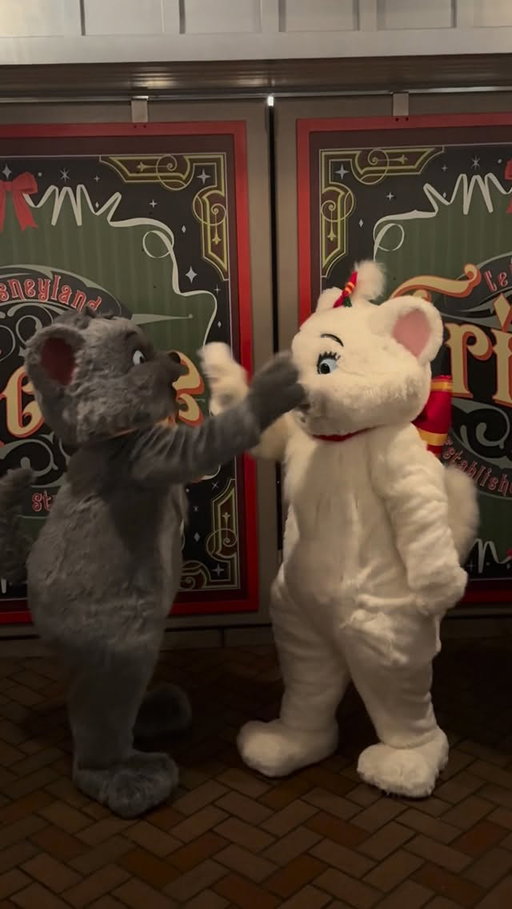 The Aristocats were EXTRA playful tonight at Disneyland! 🐾✨
Marie, Berlioz, and Toulouse showed up in their Christmas best, turning this meet-and-greet into a festive kitten party. 😸🎄
#Aristocats #Disneyland #DisneyChristmas #DisneyMagic