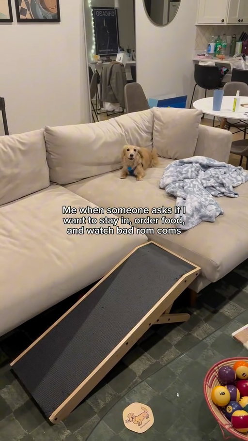 Absolutely I do

#puppy #doxie #wienerdog #minidachshundpuppy #minidachshund #dachshund #longhairminidachshund #dachshundpuppies #longhaireddachshund