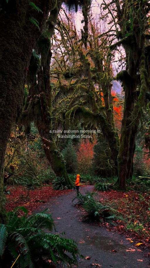 A rainy autumn morning in Washington State…

📍Olympic National Park, WA 

.
.
.
#olympicnationalpark #olympicpeninsula #twilight #moodyvibes #washingtonstate #pnw #seattle