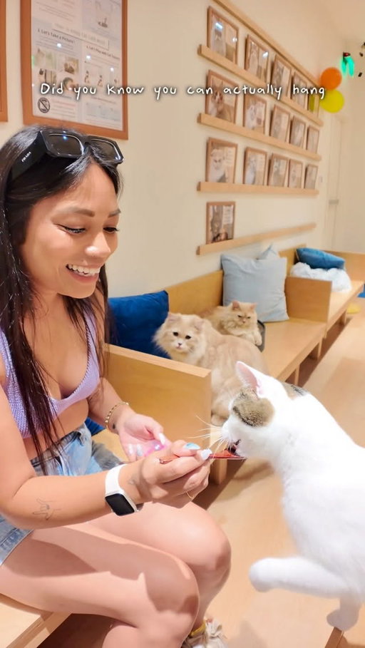 Did you know there’s a cat café inside Ala Moana Center? 🐈

It’s called Cat Café Moffe, and it’s home to twelve adorable resident cats — 11 of them came all the way from Japan, and just one is local! 🐱✨

📍 Cat Café Moffe – Ala Moana Center
1450 Ala Moana Blvd, Honolulu, HI 96814 (Mall Level, Ewa Wing)
🕒 Open daily 11AM–8PM
You can book a 30-minute or 1-hour session (I definitely recommend the hour so you have time to meet them all). Each cat has its own personality, but they’re all super playful and friendly. You can even buy treats to feed them, which is the easiest way to win them over for extra cuddles 🫶🏼

And before you leave, don’t forget to stop by the little gift corner! You can pick up souvenirs, stickers, and even merch featuring your favorite café cat — such a cute way to support them and bring a piece of the experience home 🐾💌

➡ Save this for your next Ala Moana trip, and send it to your fellow cat lovers who need this serotonin boost!

#CatCafeMoffe #AlaMoanaCenter #HonoluluCats #CatCafe #CatLoversClub #ThingsToDoInHonolulu #TravelMoments #OahuAdventures #MomLifeUnfiltered #CoffeeAndCat