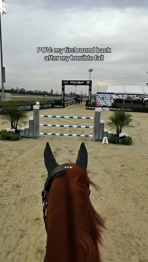 I really feel like Ruby intuitively felt like he needed to take care of me today & he absolutely did just that. I wasn’t feeling strong, and he didn’t give me any reason to need to be. This may have even been one of our smoothest rides ever in the 1.30m???

God, horses are just heavensent gifts. 
I love this boy so so much. 

#equestrian #horseshow #horsegirl #equestriansofinstagram #showjumping #horsetok #adultammy #horselover #povride