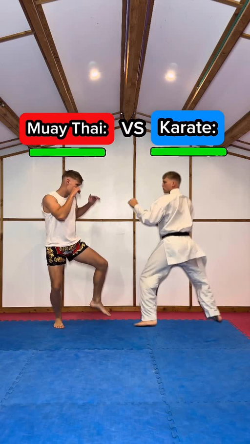 Muay Thai fights karate…