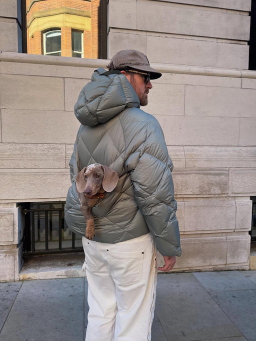 Pocket Pup 🐾