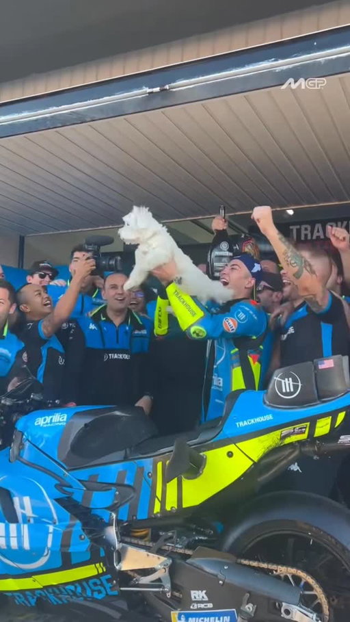 Pancho or Simba? 😂 

#ValenciaGP 🏁 #MotoGP #RaulFernandez