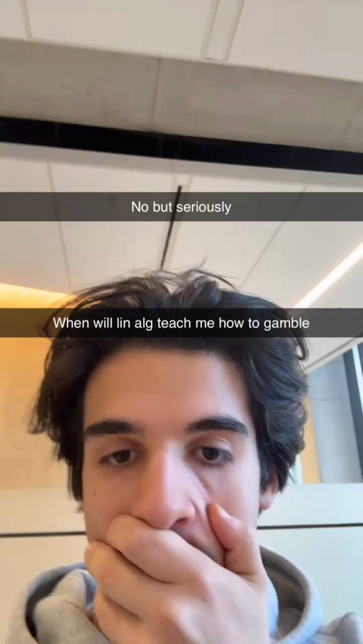 I've been losing money bc of lin alg
#explore #explorepage #viralreels #viralvideos #viral #reelsvideo #reelsinstagram #trendingreels #trending #funny #comedy