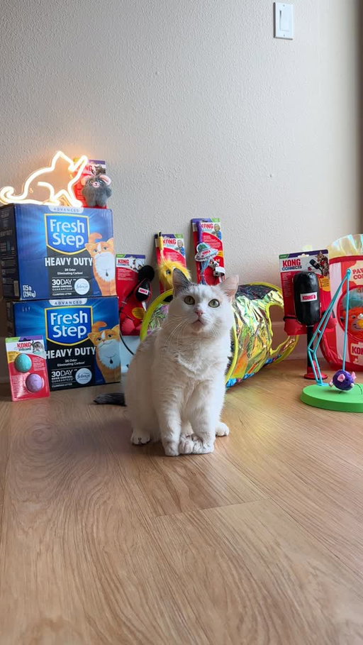 Giveaway Closed! Congrats to @emmi.sullivan14 🐱 POV you’re so grateful for your cat that you just want to spoil them!

To celebrate the week of being grateful, we’re partnering with @kongcompany to give (1) lucky cat parent the chance to win (5) boxes of Fresh Step Heavy Duty and a bundle of KONG cat toys!

Follow the rules below to enter!

⭐Follow @freshstep @kongcompany and @juniebskis
⭐Like this post
⭐Comment what you’re grateful for!

No purchase necessary. U.S. (+D.C), 18+. Ends 12/01/25 11:59 PM ET. Winner(s) randomly selected and notified by our verified account only. Void where prohibited. See Official Rules by visiting the link in our bio.

Febreze is used under license from The Procter & Gamble Company or its affiliates.

#Giveaway #FreshStep #HolidaySzn #PetParents #Pets