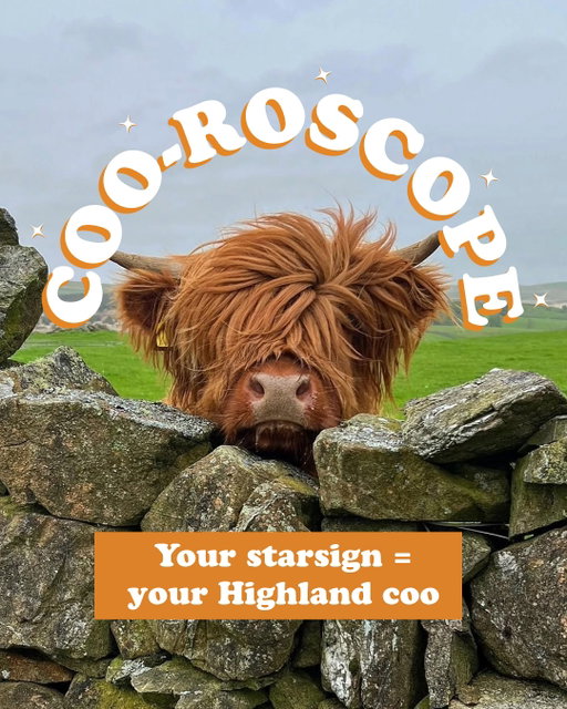 Ever wondered what your Highland cow horoscope would be? Here’s our handy ‘Coo-roscope’ to tell you which one coo-rresponds to your starsign! 🐮💫

Does your coo sign match your personality? 👀

#Coosday #Scotland #VisitScotland #HighlandCow
