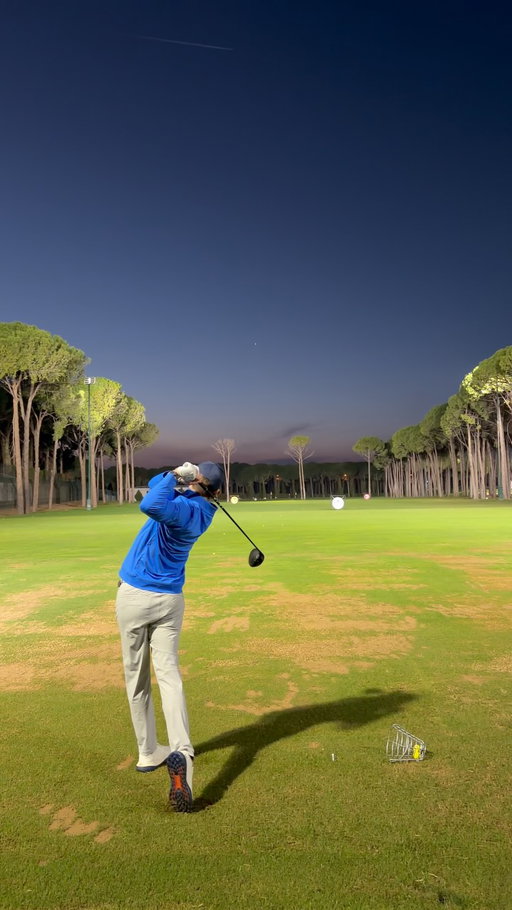 🌴🎯🌴