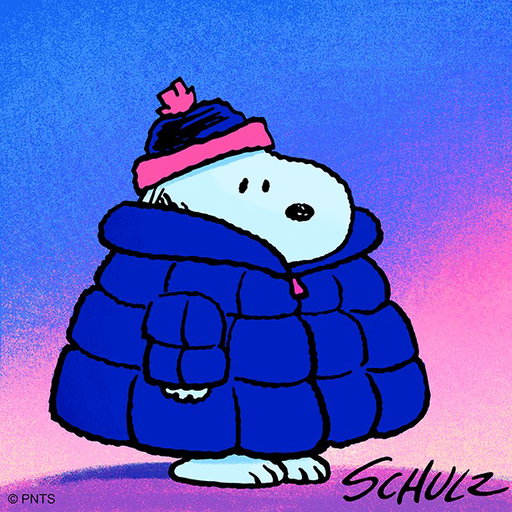 Puffer coat szn ❄️
