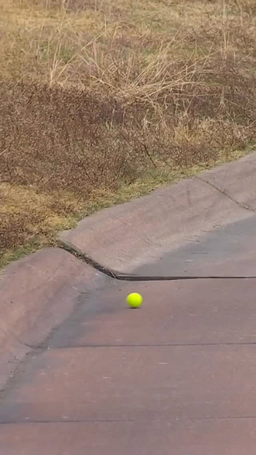 Golf ball 🤝 cart path. Relatable content.