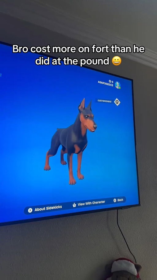 It's a fortnite economy 😭🥀

@ragerthedobie_

#fortnite #gamelancer #fortnitetiktok #gaming #fyp