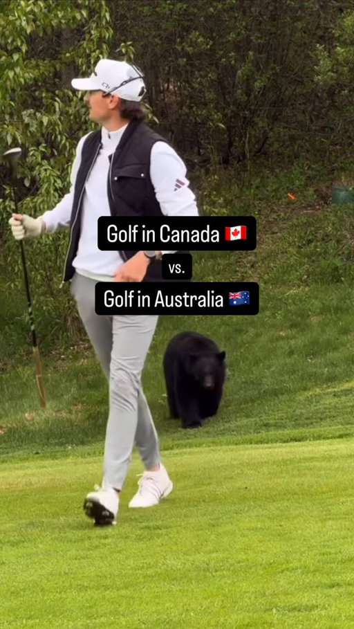 One will kill yah 🐻 the other will cuddle yah 🐨 #golf