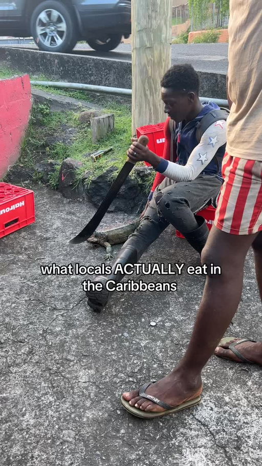 no way this tastes like a rat 😭 they also eat the lizards 

#caribbean #trini #weirdfood #solotravels #hostellife #caribbeanlife🌴 #travel #traveling #island