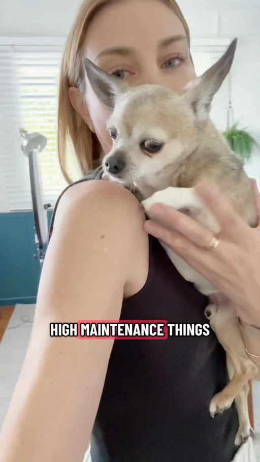 Chihuahua Mums will get it 🐶 
Visit your local vet to find out which @hillspetau  food is right for your fur babe. 
#dogmum #chihuahua #hillsprescriptiondiet #ad
