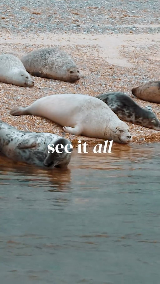 Experience Norfolk the way the locals do 🤍🌊

🚤 Day boat adventures along the coast
🌲 Rustic woodland walks
🚶‍♀️ Big-sky hikes and scenic bike rides
🦭 Seal spotting on quiet shores
🏖️ Sandy beach days with ocean breeze moments

Slow days, salty air, pure Norfolk magic ✨

#VisitNorfolk #NorfolkCoast #LoveNorfolk #ExploreEngland #UKGetaways #CoastalLife #TravelInspiration