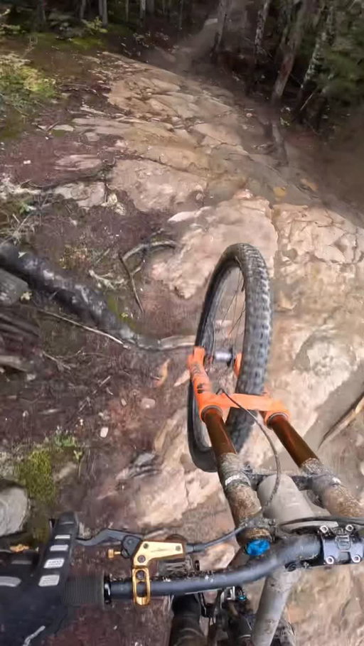Some tacky sounds from my time with the @frameworksracing_5dev DH bike.  It was a real treat getting this thing up to speed in some prime time conditions. The full review is up on my YouTube! #mtb