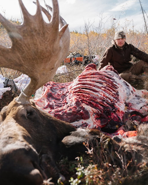 Hard hunts. Hard-earned meat.
Gear up for both. Black Friday’s on.

Shop the sale at the link in bio.
